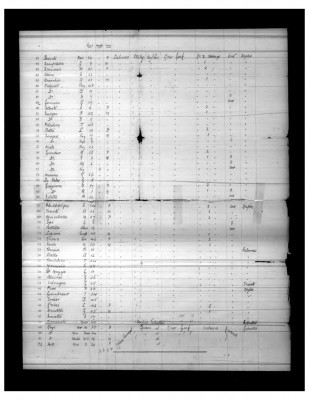 AustraliaManifest1888pg2.jpg