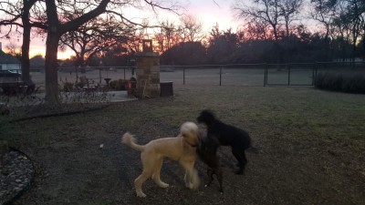 SUNRISE-PLAYTIME.jpg