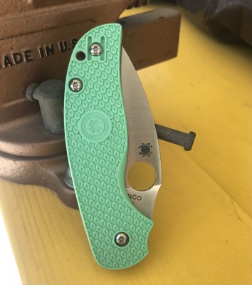 Mint Sage.jpg