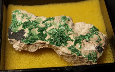 Torbernite - Katanga, Congo (2)-cropr.jpg