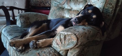lilguychilling004.jpg