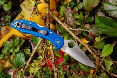 delica blue vg10 01.jpg