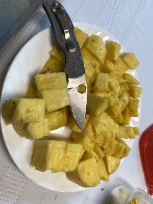 IMG_3504.jpeg