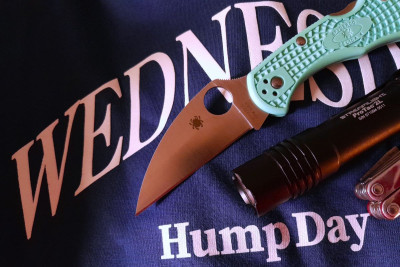 delica_teal_wharnie_03.jpg