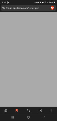 Screenshot_20250228_091716_Brave.jpg