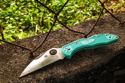 delica_teal_wharnie_04.jpg