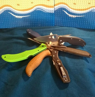 a698e94d-b377-41a9-9596-a03322a89ecetenspydiehole.jpg