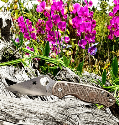 20250625_161503~2.jpg