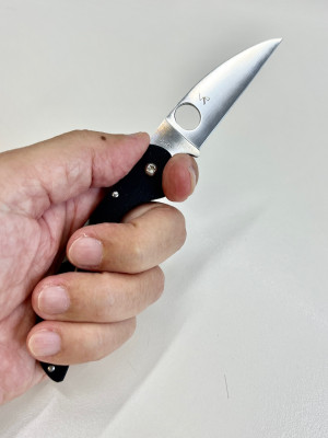 Wharncliffe Wednesday : Kiwi 4