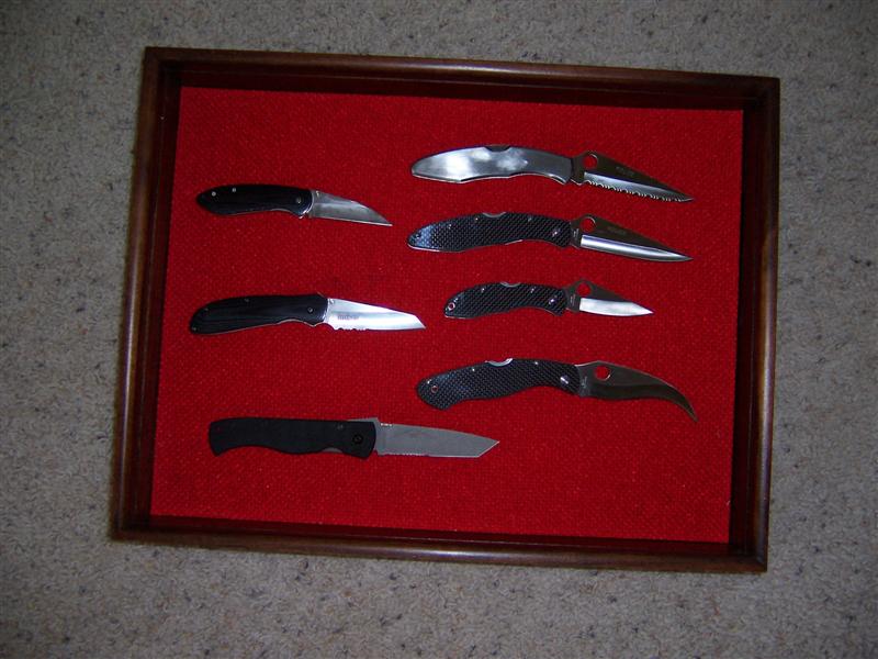 Lefthandmodel (Medium).JPG