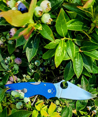 20250707_112435~2.jpg