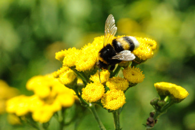 DSC_8977.jpg