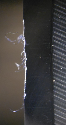 Right side of damaged belly area