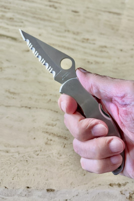 Delica II from 2002.