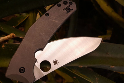 spydiechef_19.jpg