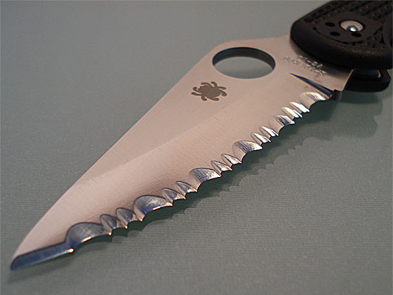 delica4_se.jpg