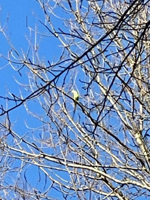 IMG_4581.jpeg