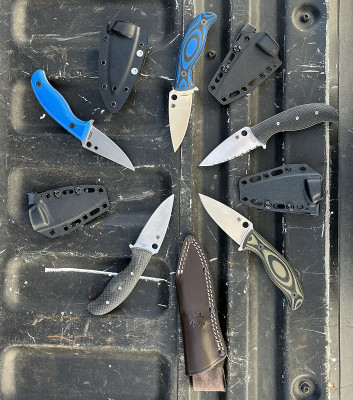 Mules.jpg