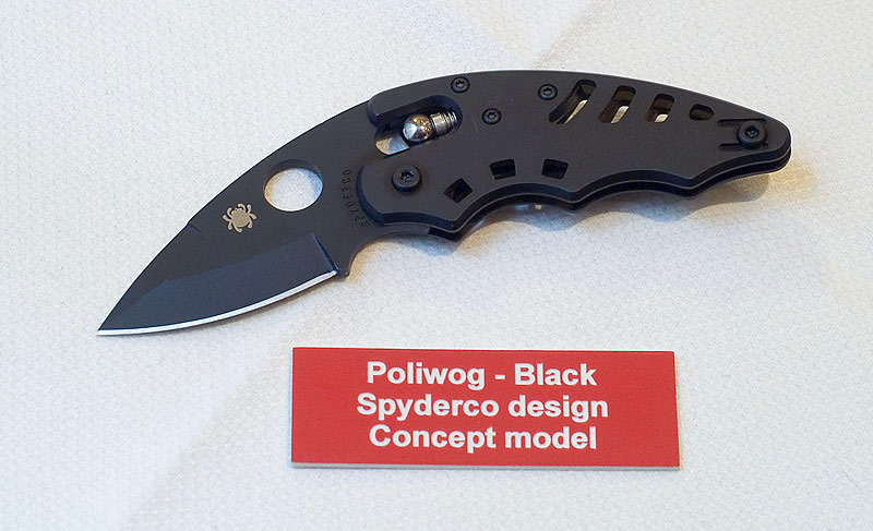 blackpoliwog2.jpg
