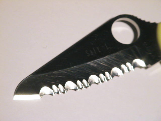 teeth 001.jpg