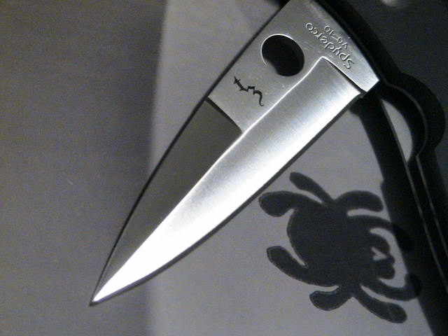 tz 028.jpg