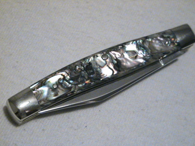 pauaabalone 017.jpg