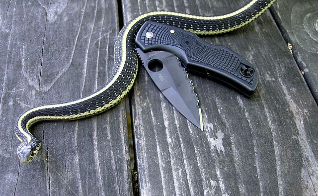 Spyderco Native.jpg