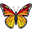 :butterfly